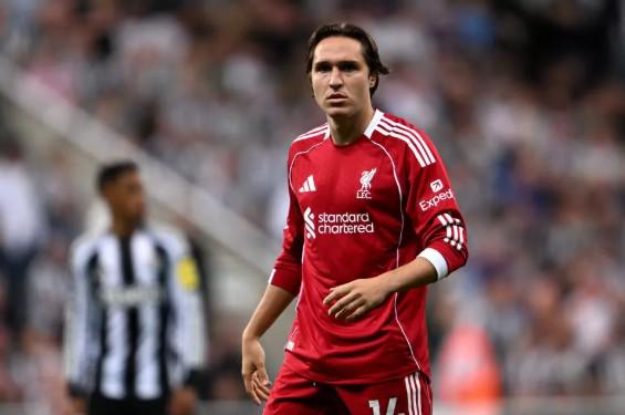 巨举背后的,重量担当,乐鱼体育,乐鱼体育,乐鱼app,乐鱼官网,乐鱼体育app