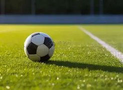 新疆成为,西部粮仓,的关键因素,乐鱼体育,乐鱼app,乐鱼官网,乐鱼体育app